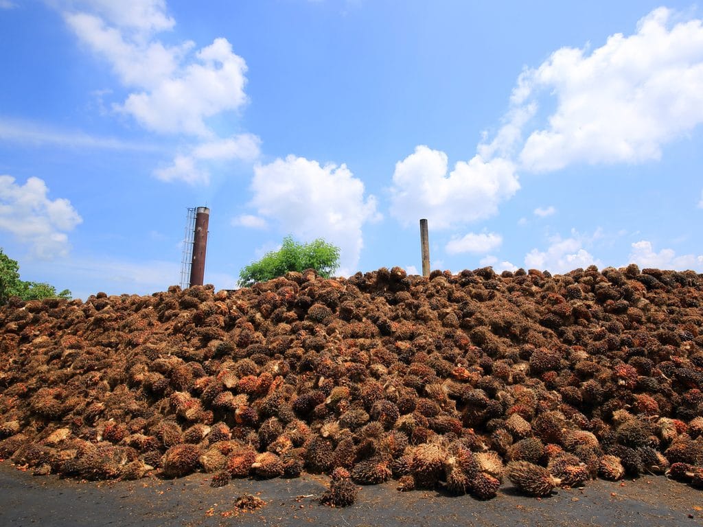 IVORY COAST: Concession contract signed for the Ayebo biomass power plant©wattana/Shutterstock