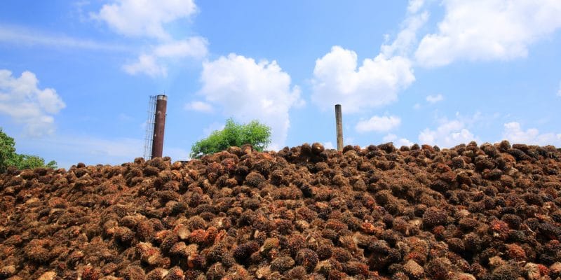 IVORY COAST: Concession contract signed for the Ayebo biomass power plant©wattana/Shutterstock