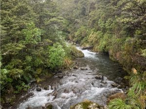 RWANDA : Empower signe un CAE pour le mini projet hydroélectrique de Rucanzogera©TTONN/Shutterstock