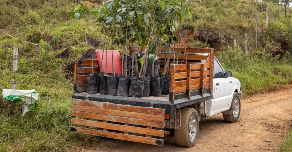 UGANDA: German football club plants trees for environmental protection©PlataRoncalloShutterstock