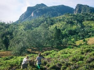 TANZANIA: French Group Rossignol to plant 25,000 trees©Farid Suhaimi/Shutterstock