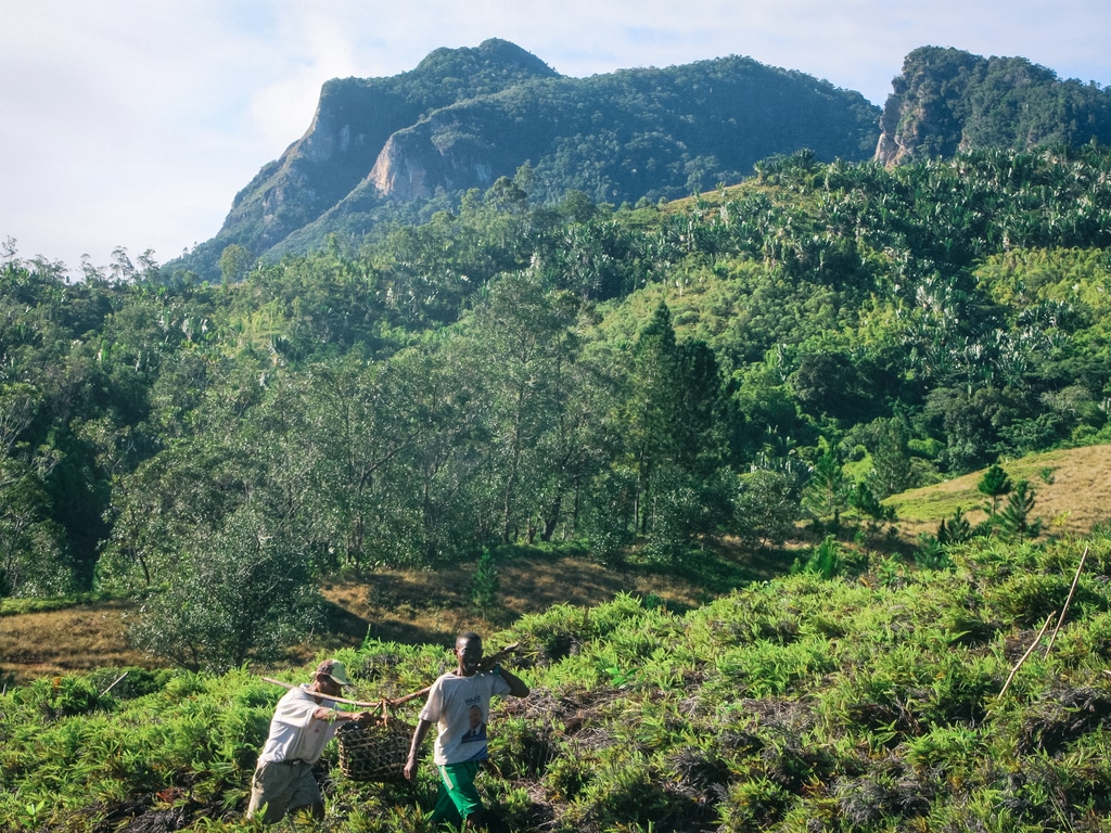 TANZANIA: French Group Rossignol to plant 25,000 trees©Farid Suhaimi/Shutterstock