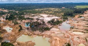 COTE D’IVOIRE : comment éradiquer l’orpaillage clandestin dans la réserve de la Comoé©PARALAXIS/Shutterstock