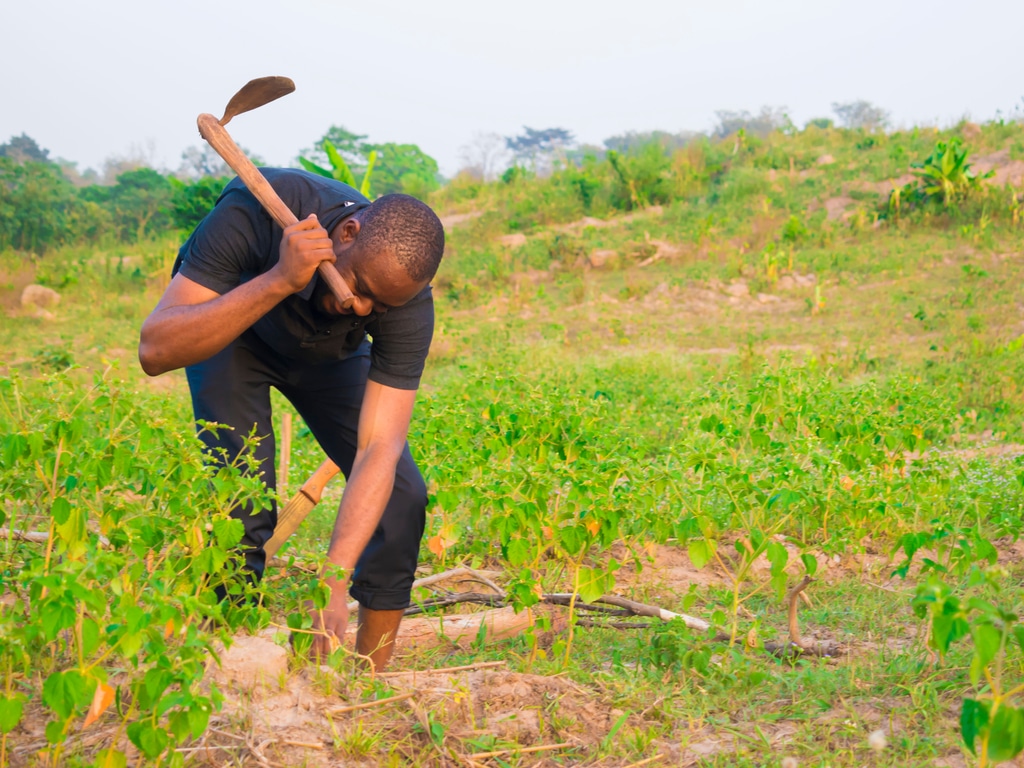 EAST AFRICA: Slow Food sets project to get young people involved in agro-ecology ©courage007/Shutterstock