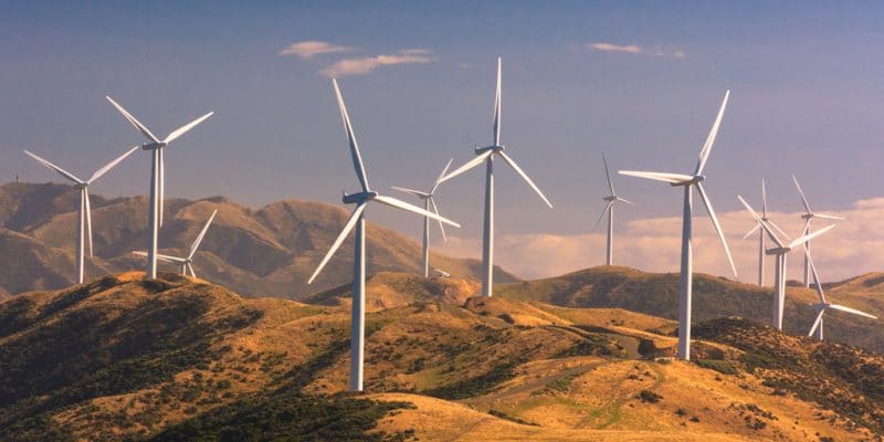 DJIBOUTI : Siemens Gamesa construira le parc éolien de Ghoubet de 60 MW©SkyLynx/Shutterstock