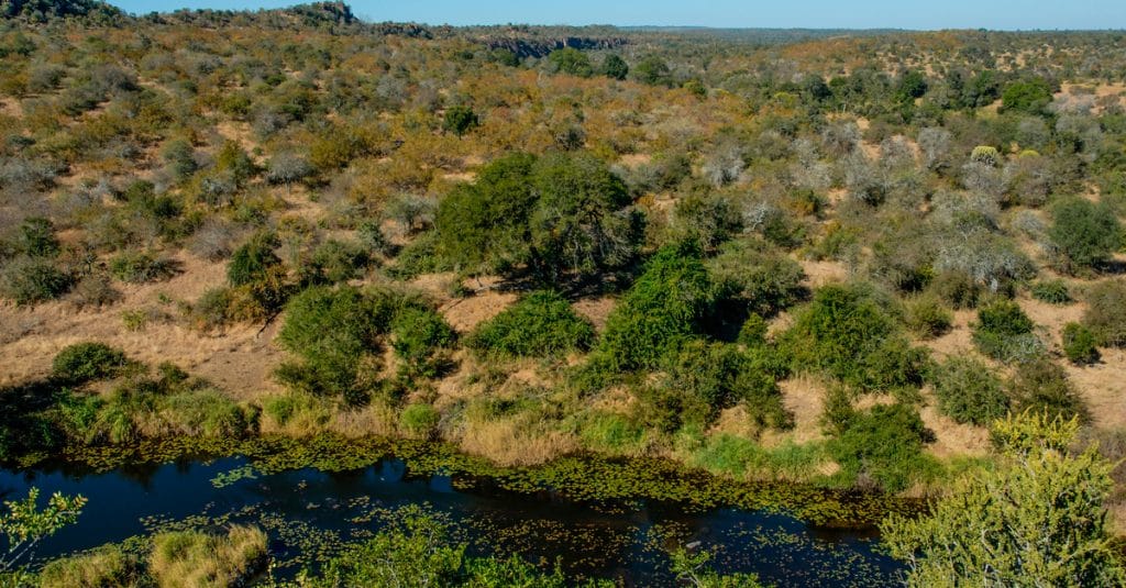 AFRIQUE : le programme Copernicea, pour comptabilisation du patrimoine écologique©Foto 4440/Shutterstock