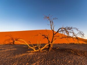 AFRIQUE : l’UE renforce sa coopération pour lutter contre le changement climatique©Jixin YU/Shutterstock