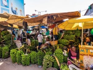 UGANDA: European Union grants €90.4 million for green economy©DstockIL/Shutterstock