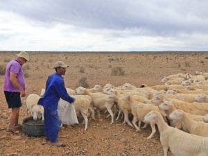 SOUTH AFRICA: Drought contingency plan for Western Cape©Kobus Smit/Shutterstock