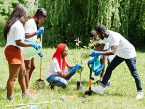 MADAGASCAR: 60 million trees to be planted for 60 years of independence©AS photo studio/Shutterstock