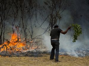 MADAGASCAR : réactivation du 512 pour la dénonciation des crimes environnementaux©Lindsay Basson/Shutterstock