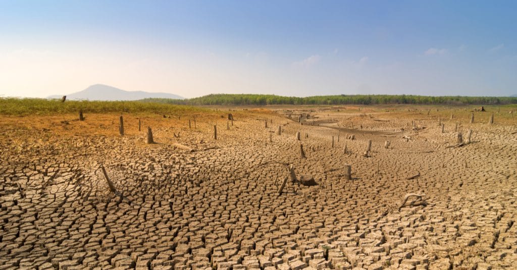 AFRIQUE : Greenpeace réclame une réponse continentale face au changement climatique©24Novembers/Shutterstock