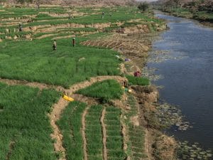 TCHAD : lancement du projet de sauvegarde de l’environnement dans le bassin du Niger ©Torsten Pursche/Shutterstock