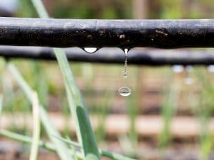 TUNISIA: UTAP will train 150 farmers in better water resource management©Fotosr52 / Shutterstock