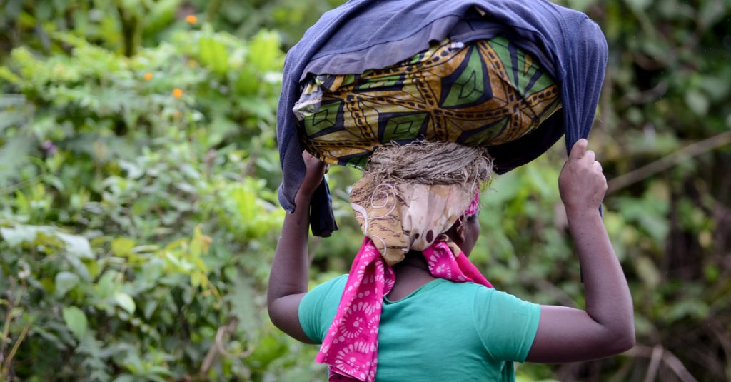 DRC: Confined local residents allowed to collect food in Virunga Park. ©wayak/Shutterstock