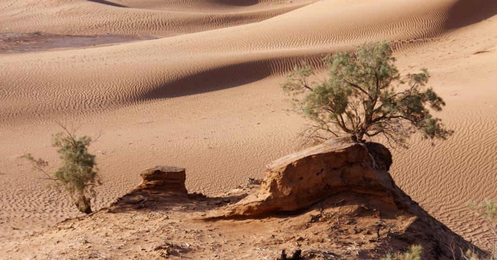 AFRIQUE : pour le maintien de la chute des émissions de CO2 occasionnée par le Covid19©Miroslaw Skorka/Shutterstock