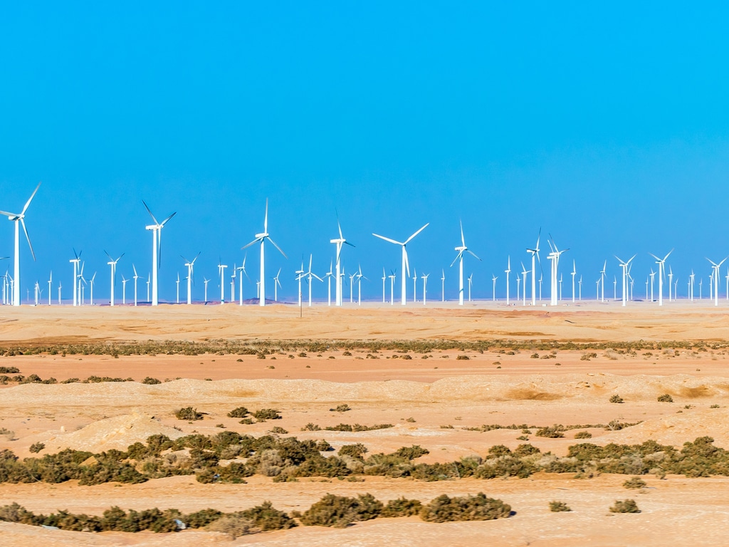 ÉGYPTE : le parc éolien de 30 MW de Zafarana fermera en 2021, après 20 ans de service©Andrej Privizer / Shutterstock