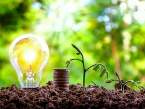 SOUTH AFRICA: GreenCape launches investment fund for green SMEs ©Arthon Meekodong/Shutterstock