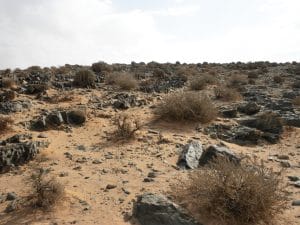 MAROC : le pays classé deuxième mondial pour la lutte contre le changement climatique© /Antonio_22 Shutterstock