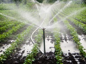 MOROCCO: Hungary and Morocco enhance cooperation for better water management©CRS PHOTO/Shutterstock