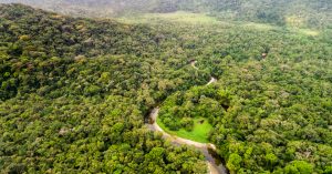 GABON: Government is for 30% preservation of global biodiversity by 2030©Gustavo Frazao/Shutterstock