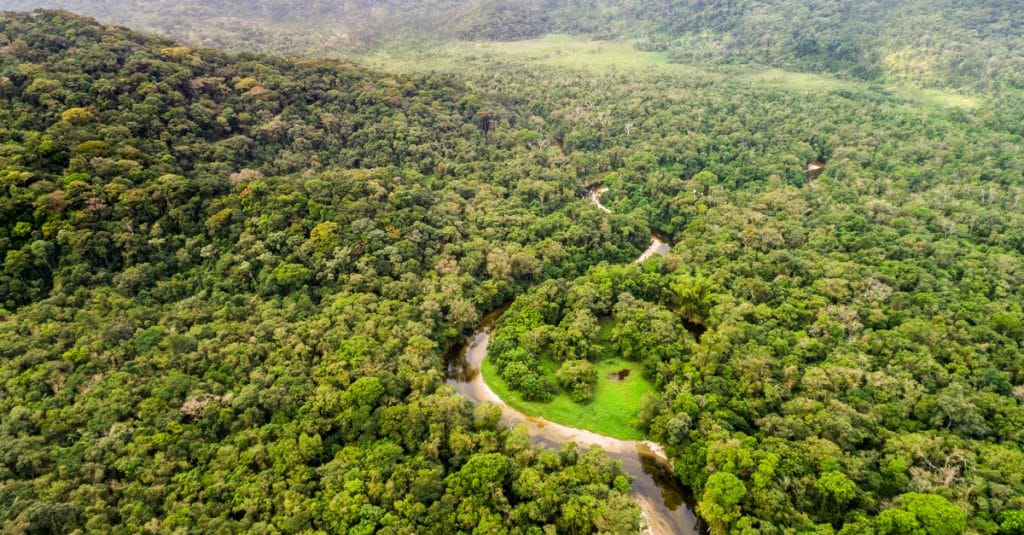 GABON : l’État soutient la préservation de 30 % de la biodiversité mondiale d’ici 2030©Gustavo Frazao/Shutterstock