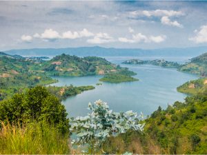 DRC-RWANDA: Both countries join forces to preserve Lake Kivu's biodiversity©Tetyana Dotsenko / Shutterstock