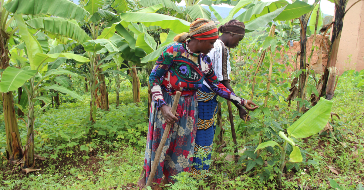 CHAD: UNESCO launches Biopalt project (Biosphere and Heritage of Lake ...