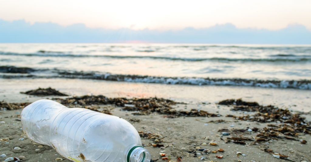 TUNISIA: Swimming suspended at 23 beaches due to pollution©Andrei Dubadzel/Shutterstock