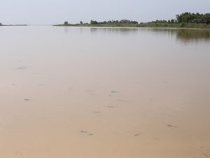 SENEGAL-MALI: CMEC to build Gourbassi hydroelectric dam©BOULENGER Xavier /Shutterstock