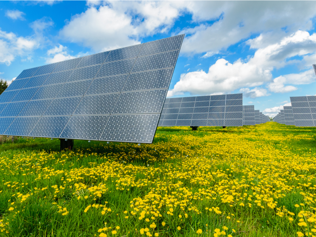 ÉTHIOPIE : Lotus Energy va installer la centrale électrique de 500 MW d’Effort Group©Richard Schramm / Shutterstock