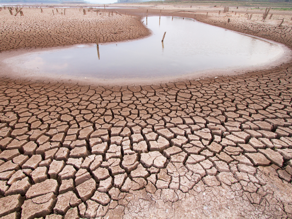 MALI - UGANDA: Denmark supports climate change mitigation©Piyaset / Shutterstock