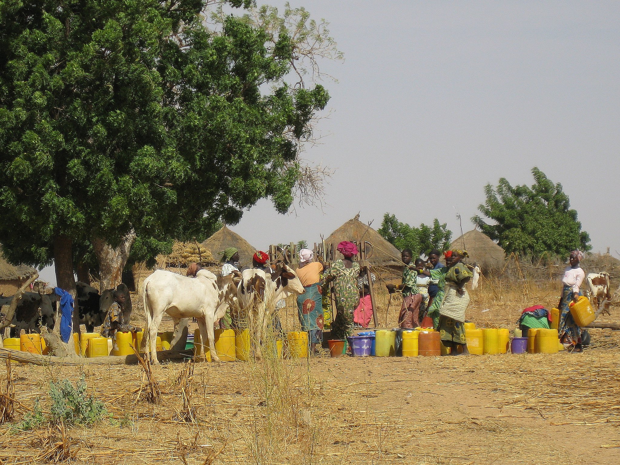 Chad Government Launches Water And Sanitation Project In Moundou