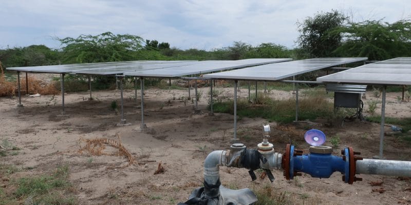 ÉGYPTE : la SFI, la NBE et la MSMEDA financeront les start-up d’irrigation solaire©CochraneL/Shutterstock