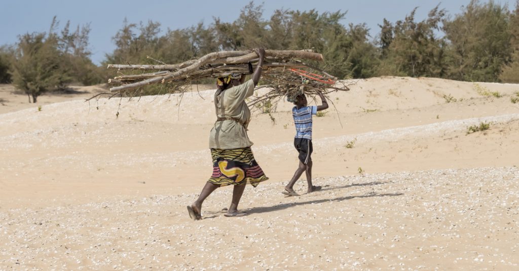 MALI: NGOs sound alarm at 82 per cent forest loss©DiversityStudio/Shutterstock