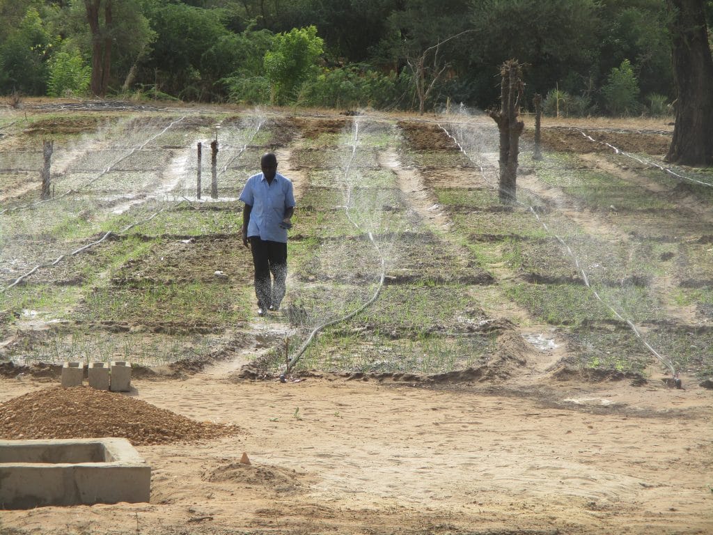 NIGER : un start-uppeur lance un système d’irrigation à distance alimenté au solaire ©Tech-Innov