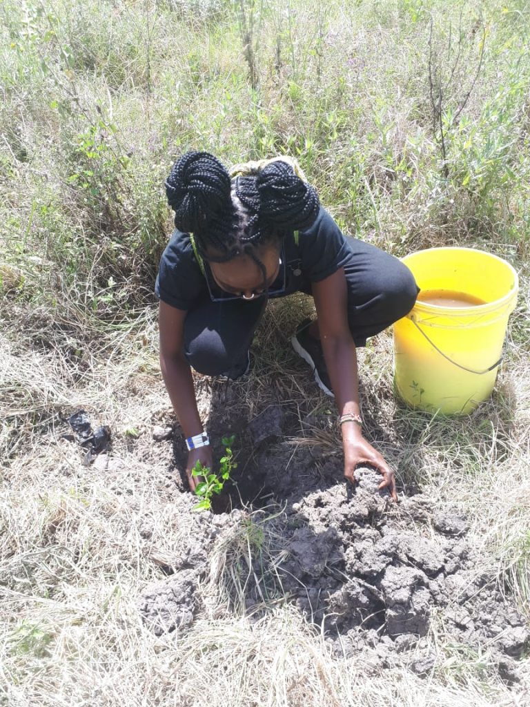 KENYA: Call for participation in the planting of 10,000 trees in Nairobi Park©Skippy Adventures Tours & Events