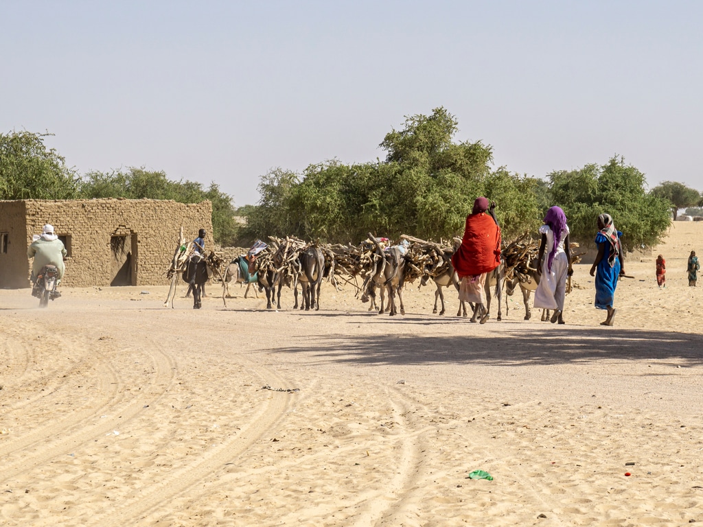 AFRICA: GCA's regional office is open for adaptation to climate change©Torsten Pursche/Shutterstock