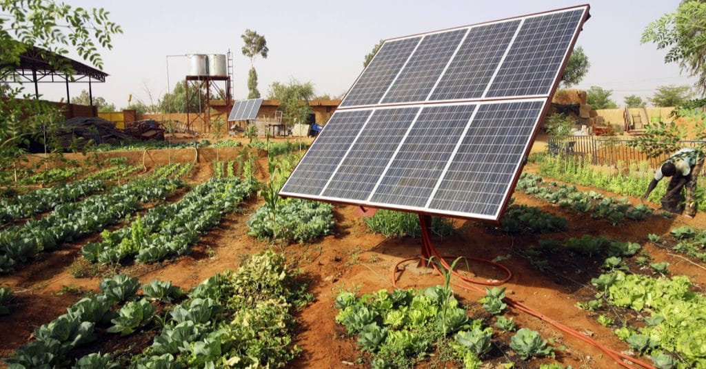 SÉNÉGAL : l’UE soutient l’entrepreneuriat féminin à travers les énergies renouvelables©Malevic/Shutterstock