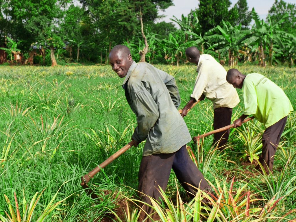 AFRIQUE : la FMO alimente de 10 M€ le fonds eco.business pour la biodiversité ©Travel Stock/Shutterstock