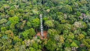 DRC: a tower to measure the impact of tropical forests on climate change© Cifor