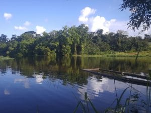 CAMEROON-CONGO: the 600 MW hydroelectric project on the Dja/Ngoko river relaunched in 2021?©Travel Telly/Shutterstock