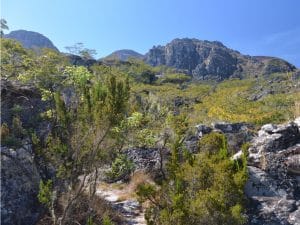 MOZAMBIQUE : le gouvernement transforme la réserve de Chimanimani en parc national ©Cloete55/Shutterstock