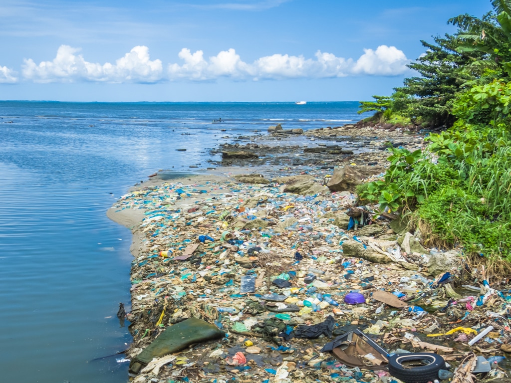 KENYA : Nakuru veut appliquer « rigoureusement » le principe pollueur-payeur©cribe/Shutterstock