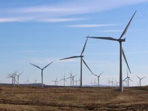 ÉGYPTE : les IPP développent un complexe éolien de 2 000 MW dans le golfe de Suez ©David Falconer/Shutterstock