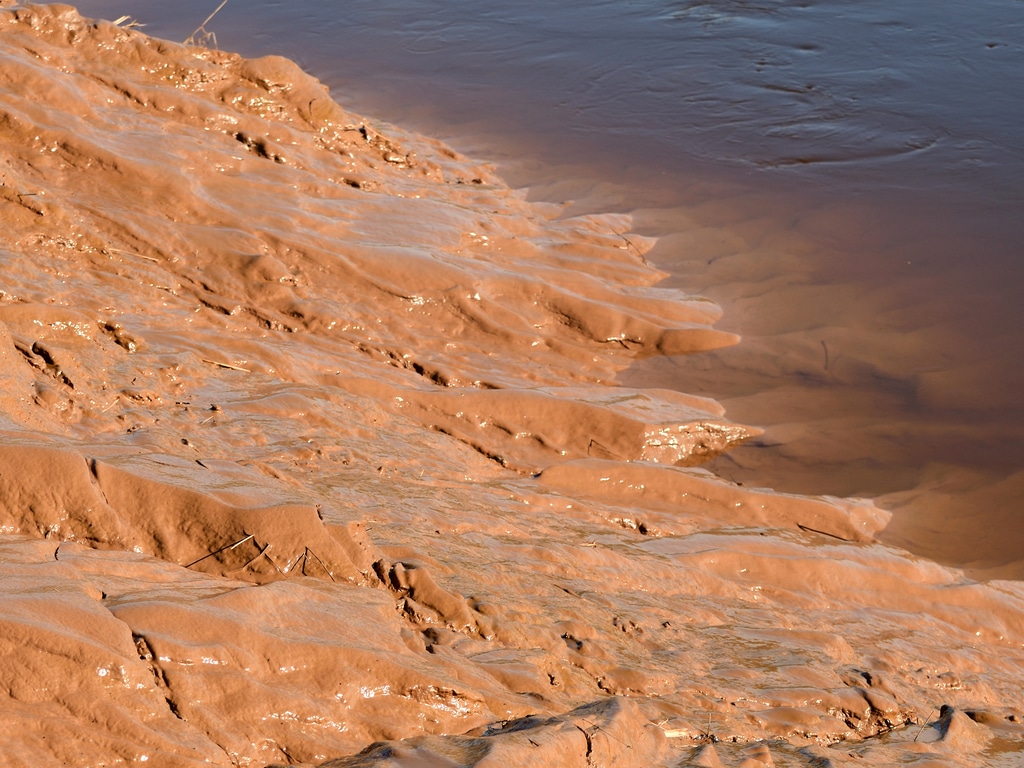 MOZAMBIQUE : les autorités de Manica sévissent face aux pollueurs de la rivière Rovué©Greenseas/Shutterstock