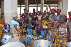 IVORY COAST: the Sassandra fish-marriers, aware of the need for a sustainable post-fishing industry©FAO-Côte d’Ivoire/Shutterstock