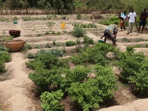 AFRICA: the AfDB provides training on the development of projects eligible for GCF ©BOULENGER Xavier/Shutterstock