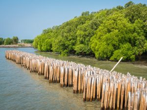 SENEGAL: Government launches coastal zone management project©YuRi Photolife/Shutterstock