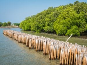 SÉNÉGAL : le gouvernement lance un projet de gestion des zones côtières©YuRi Photolife/Shutterstock